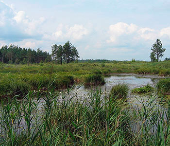 Природно-заповідний фонд